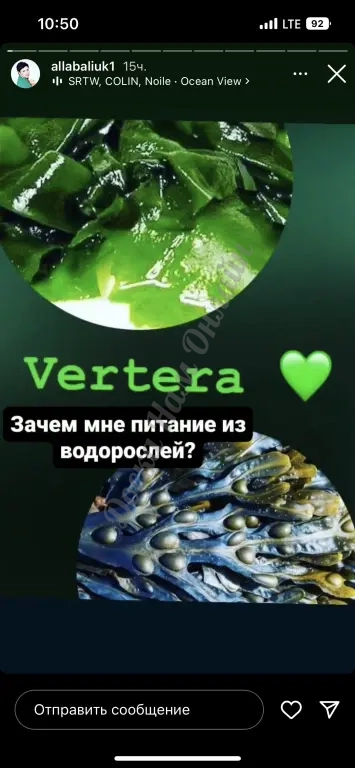 Продукция Vertera